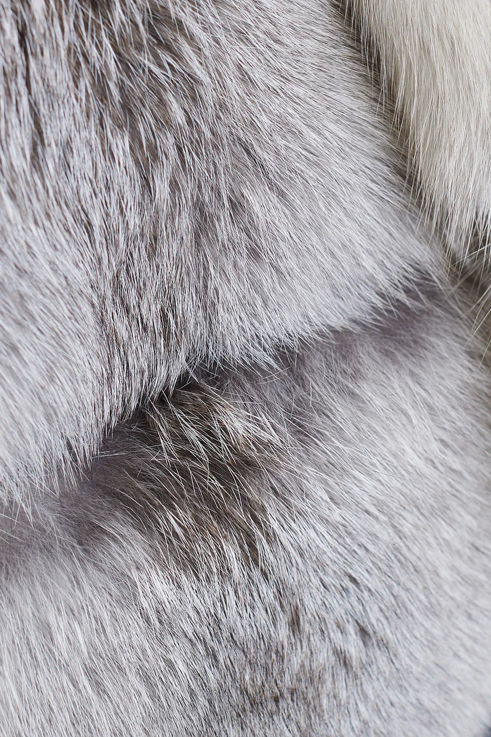 Jacheta din vulpe polară Fawn Light cu guler 2099